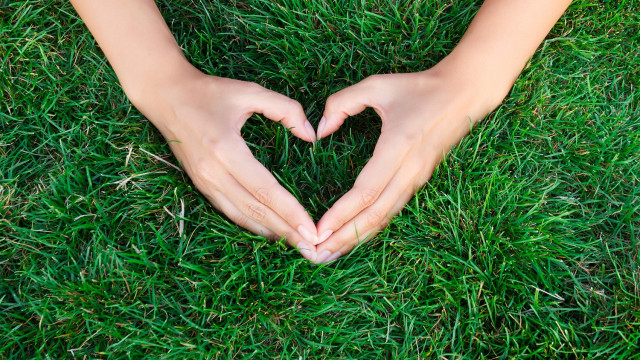 H�nde gr�n im Hintergrund