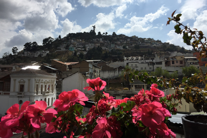 Blick auf den H�gel 