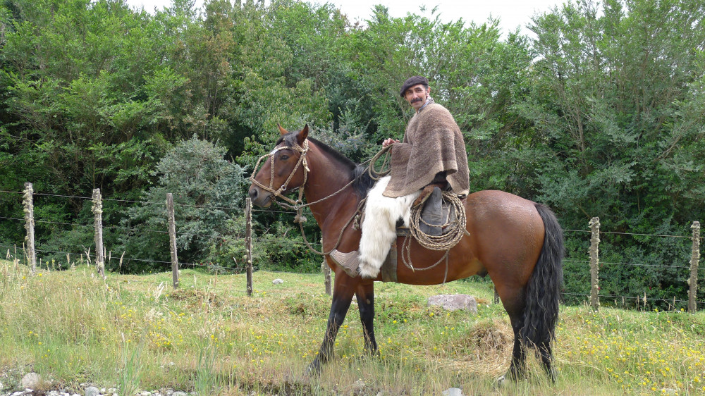 Reiten in Gauchos (Andes Nativa)